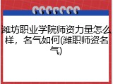 潍坊职业学院师资力量怎么样，名气如何(潍职师资名气)