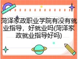 菏泽家政职业学院有没有就业指导，好就业吗(菏泽家政就业指导好吗)