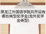黑龙江外国语学院共开设有哪些类型奖学金(龙外奖学金类型)