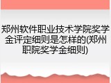 郑州软件职业技术学院奖学金评定细则是怎样的(郑州职院奖学金细则)
