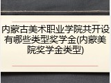 内蒙古美术职业学院共开设有哪些类型奖学金(内蒙美院奖学金类型)