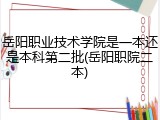 岳阳职业技术学院是一本还是本科第二批(岳阳职院二本)