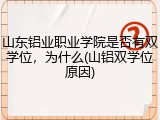 山东铝业职业学院是否有双学位，为什么(山铝双学位原因)