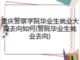 重庆警察学院毕业生就业大致去向如何(警院毕业生就业去向)
