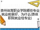 贵州体育职业学院哪些专业就业前景好，为什么(贵体职院就业佳专业)