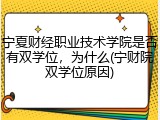 宁夏财经职业技术学院是否有双学位，为什么(宁财院双学位原因)