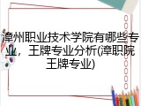 漳州职业技术学院有哪些专业，王牌专业分析(漳职院王牌专业)