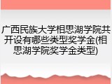 广西民族大学相思湖学院共开设有哪些类型奖学金(相思湖学院奖学金类型)