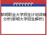 黎明职业大学招生计划详细分析(黎明大学招生解析)