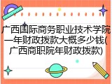 广西国际商务职业技术学院一年财政拨款大概多少钱(广西商职院年财政拨款)