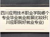 四川应用技术职业学院哪个专业毕业就业前景比较好(川应职院好就业专业)