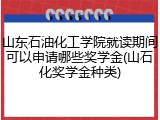 山东石油化工学院就读期间可以申请哪些奖学金(山石化奖学金种类)