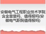 安徽电气工程职业技术学院含金量量吗，值得报吗(安徽电气职院值得报吗)