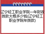 辽宁轻工职业学院一年财政拨款大概多少钱(辽宁轻工职业学院年拨款)