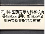 四川中医药高等专科学校有没有就业指导，好就业吗(川医专就业指导及前景)
