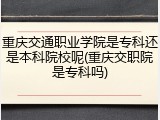 重庆交通职业学院是专科还是本科院校呢(重庆交职院是专科吗)