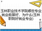 玉林职业技术学院哪些专业就业前景好，为什么(玉林职院好就业专业)