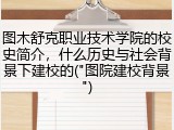 图木舒克职业技术学院的校史简介，什么历史与社会背景下建校的("图院建校背景")