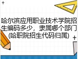 哈尔滨应用职业技术学院招生编码多少，隶属哪个部门(哈职院招生代码归属)