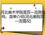 河北美术学院是双一流高校吗，简单介绍(河北美院双一流情况)