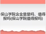 保山学院含金量量吗，值得报吗(保山学院值得报吗)