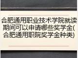 合肥通用职业技术学院就读期间可以申请哪些奖学金(合肥通用职院奖学金种类)