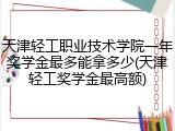 天津轻工职业技术学院一年奖学金最多能拿多少(天津轻工奖学金最高额)