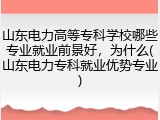 山东电力高等专科学校哪些专业就业前景好，为什么(山东电力专科就业优势专业)