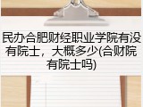 民办合肥财经职业学院有没有院士，大概多少(合财院有院士吗)