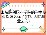 山东胜利职业学院的学生毕业都怎么样了(胜利职院毕业去向)
