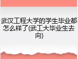 武汉工程大学的学生毕业都怎么样了(武工大毕业生去向)