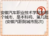 安徽汽车职业技术学院在哪个城市，是本科吗，第几批(安徽汽职院城市批次)