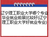 辽宁理工职业大学哪个专业毕业就业前景比较好(辽宁理工职业大学好就业专业)
