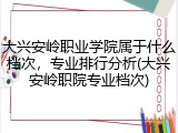大兴安岭职业学院属于什么档次，专业排行分析(大兴安岭职院专业档次)