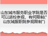 山东城市服务职业学院是否可以进校参观，有何限制("山东城服职院参观限制")