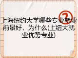 上海纽约大学哪些专业就业前景好，为什么(上纽大就业优势专业)