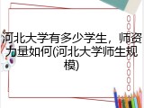 河北大学有多少学生，师资力量如何(河北大学师生规模)