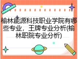 榆林能源科技职业学院有哪些专业，王牌专业分析(榆林职院专业分析)