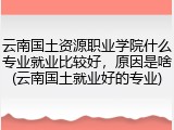 云南国土资源职业学院什么专业就业比较好，原因是啥(云南国土就业好的专业)