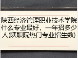 陕西经济管理职业技术学院什么专业最好，一年招多少人(陕职院热门专业招生数)