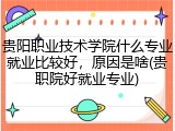 贵阳职业技术学院什么专业就业比较好，原因是啥(贵职院好就业专业)
