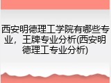 西安明德理工学院有哪些专业，王牌专业分析(西安明德理工专业分析)