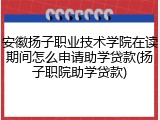 安徽扬子职业技术学院在读期间怎么申请助学贷款(扬子职院助学贷款)