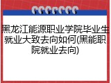 黑龙江能源职业学院毕业生就业大致去向如何(黑能职院就业去向)