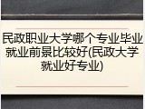 民政职业大学哪个专业毕业就业前景比较好(民政大学就业好专业)