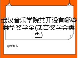 武汉音乐学院共开设有哪些类型奖学金(武音奖学金类型)