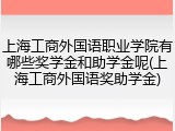上海工商外国语职业学院有哪些奖学金和助学金呢(上海工商外国语奖助学金)