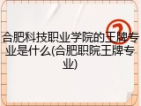 合肥科技职业学院的王牌专业是什么(合肥职院王牌专业)