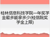 桂林信息科技学院一年奖学金最多能拿多少(桂信院奖学金上限)