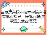 曲阜远东职业技术学院有没有就业指导，好就业吗(曲阜远东就业情况)